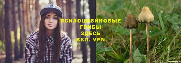 скорость Баксан