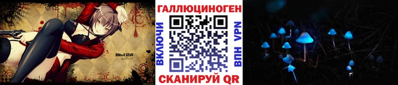 продажа наркотиков Гороховец darknet состав Галлюциногенные грибы Psilocybe